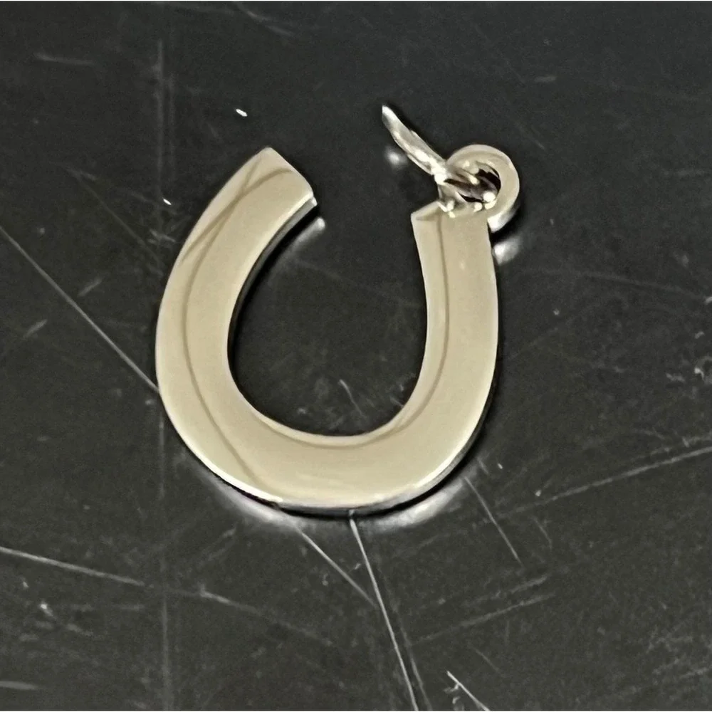 Turquoise Stone Horseshoe Charm Stainless‎ Steel Silver Blue Excellent